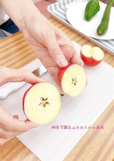 2025年中8月度野菜写真③.jpg