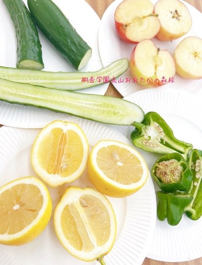 2025年中8月度野菜写真.jpg