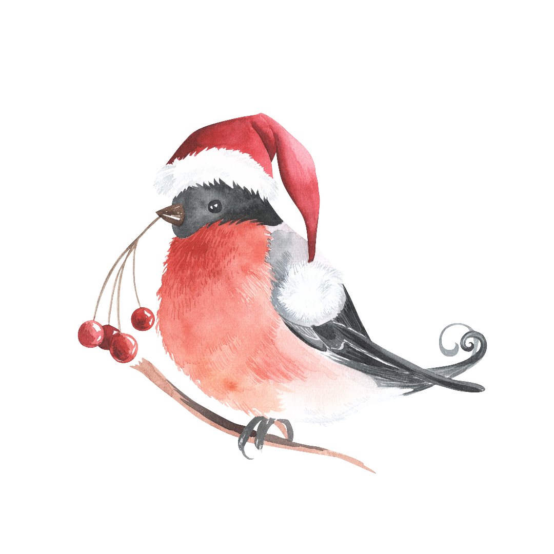 クリスマスの鳥.jpeg
