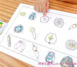 2025年中8月度野菜写真②.png