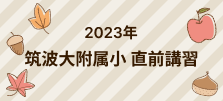 筑波大附属 そっくり直前講習